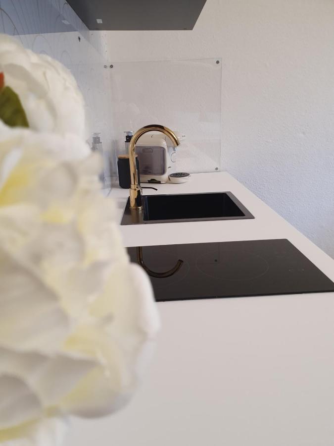 Melody Apartment Mit E-Ladesaeule Und Mobiler Klimaanlage Gelsenkirchen Exteriör bild